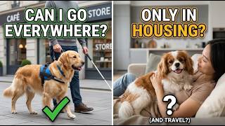 Service Dogs vs Emotional Support Animals: Legal Rights
