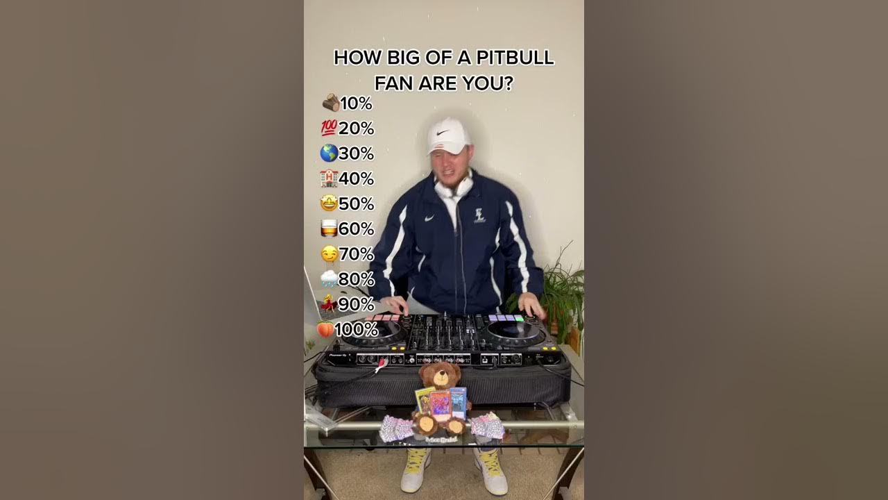 Pitbull Top 10 Hit Songs Pitbull Top 10 Hit Songs