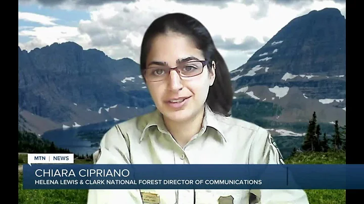 Want to cut your own Christmas tree? Tips and guidelines