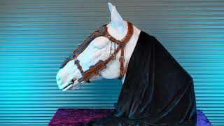 Thorondor's Crown Medieval horse bridal Barding . Fantasy horse bridal