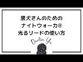 黒犬さんのための【ナイトウォーカー™光るリード】の使い方