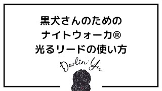 黒犬さんのための【ナイトウォーカー™光るリード】の使い方