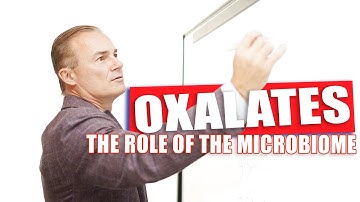 OXALATES!  The Role of the Microbiome | The Microbiome Expert