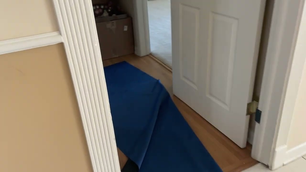 Oversized areas. Revive cleaning