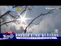 台灣百年溫度上升1.5°C  氣象署:颱風數量減少、強度增強｜十點不一樣20240502@TVBSNEWS01