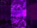 #techno #ambient #music #electronicmusic #djsiksika #futuresounds #electrobeats #newmusic #dance
