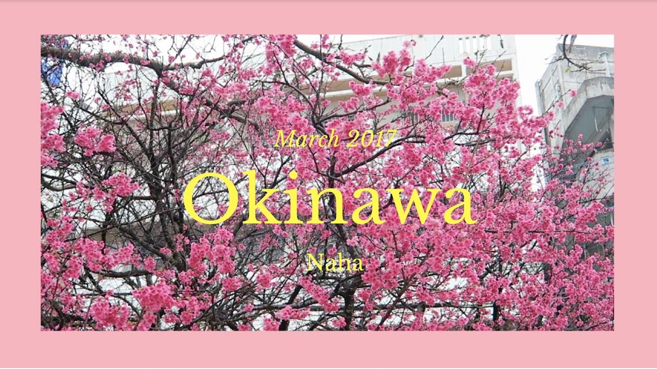 Vlogever 0.3 - Ookini Okinawa!