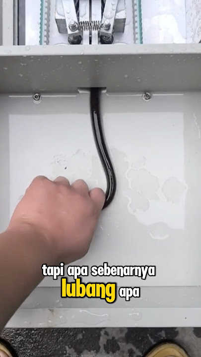 lubang kematian belut🗿