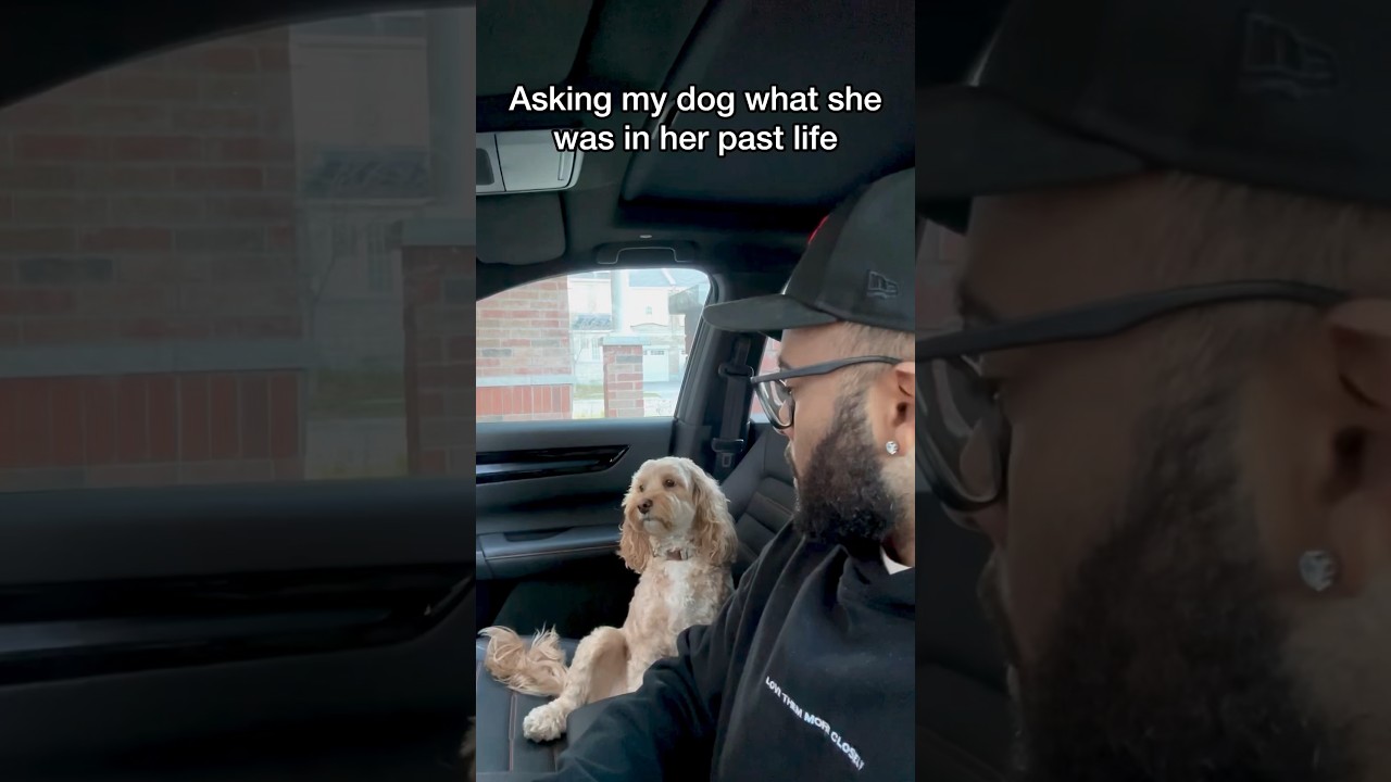 Asking My Dog What She Was in Her Past Life