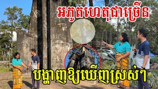 ឃើញភ្នែកស្រស់ៗ បារមីនៅអតីតព្រះរាជដំណាក់ តែងតែបង្ហាញខ្លួនជារឿយៗ