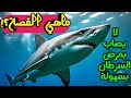 أسرار سمك القرش والمحيط هل الميغالودون لا يزال حي ا اكتشافات مرعبة من أعماق البحر 