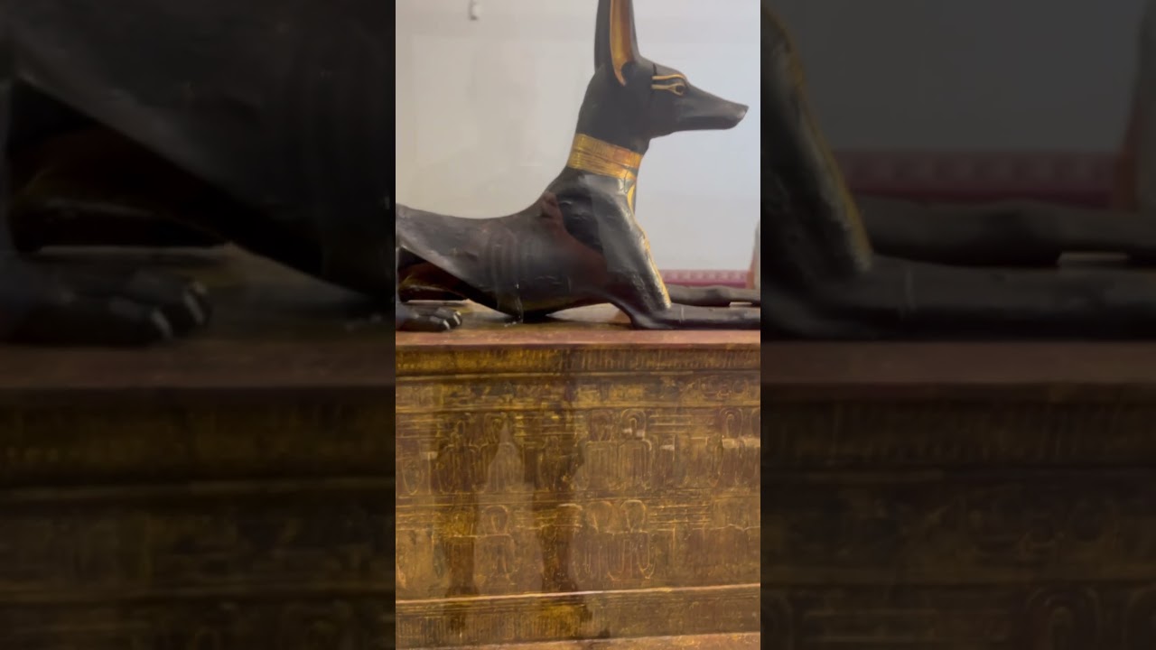 God Dog “Anubis” #ancientegypt #dog adlı videoyu YouTube'da izle God Dog “Anubis” #ancientegypt #dog adlı videoyu YouTube'da izle