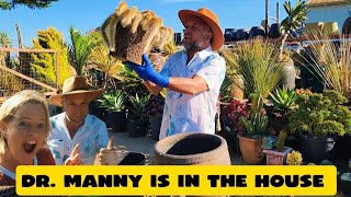 Shocking rescue of my Monkey Tail cactus!