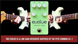 DevTech Audio Evolve Overdrive