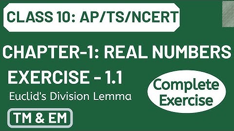 Real Numbers || Exercise 1.1 || Euclid