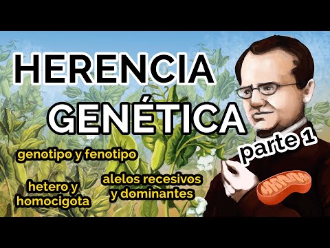 Video: ¿Qué significa fenotipo normal?