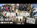 Animal Kingdom | Pandora World of Avatar - Disney Vlog Day 5 Jan. 2018