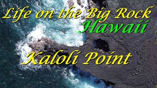 Cliffs of Kaloli Point, Island of Hawai'i, East side Big Island