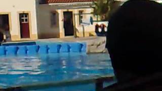 SHOW DE BALEIA NAZARE - LISBOA.mp4
