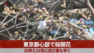 東京都心部で桜開花 20、21年に並び最も早く