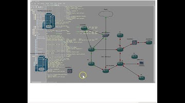 IOS-XR  - SROS: MPLS L3 VRFs interoperability with Nokia Service Router.