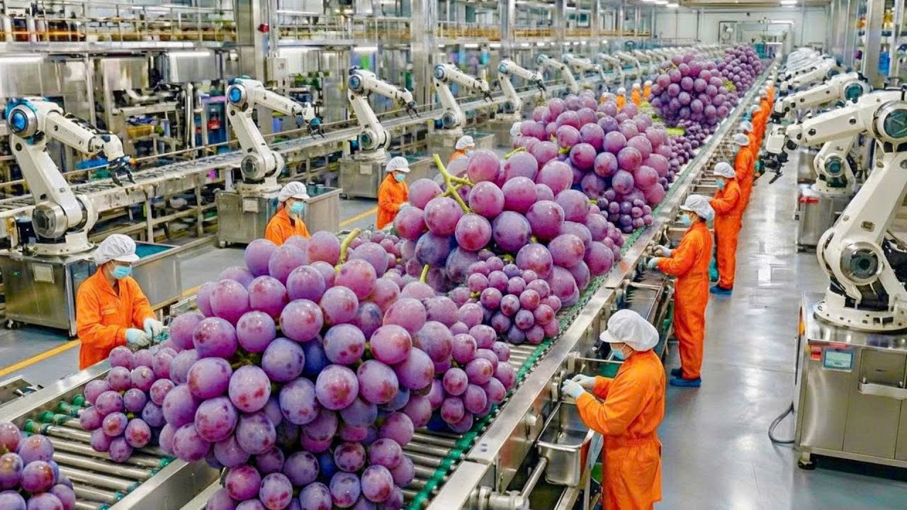 Inside a Raisins Processing Factory: How Dried Raisins Are Made (Full Process)