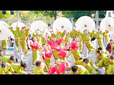 [4K] 神戸学生よさこいチーム湊　淡路よさこいフェスティバル 2019 (中央)