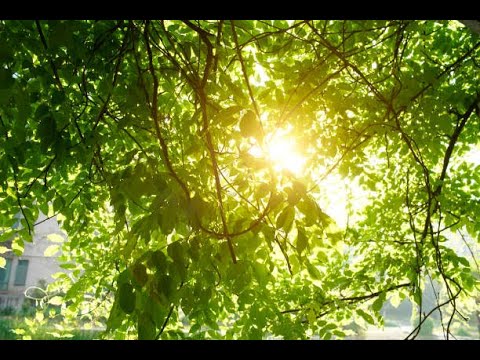 工藤慎太郎 SHINTARO KUDO - YouTube