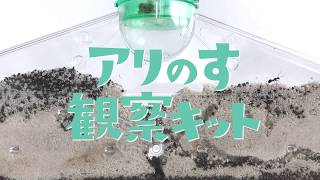 【学研】アリのす観察キット　夏休みの自由研究に最適！ 　（科学と学習PRESENTSシリーズ）