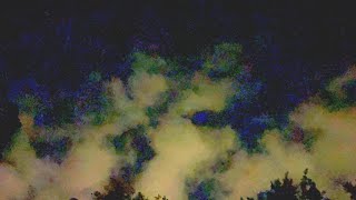 Photos courtesy of Dina Castanheira #arcturians #starseeds #lightworkers #lightcodes #lightworkers