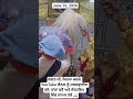 Sachkhand Sri Hazur Sahib Ji, Parkash Sewa - June 16, 2026
