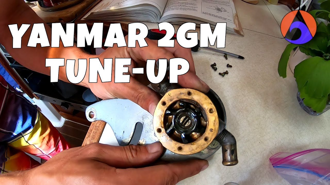 YANMAR 2GM maintenance: OIL CHANGE, THERMOSTAT, RAW WATER PUMP [Wildly Intrepid Sailing Ep 54]