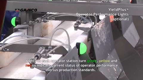 Gainco YieldPlus® Debone/Trim Management System – Operator Performance