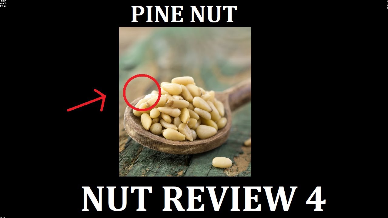 Nut review 4 | Pine nut - YouTube