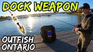 FISHING HAMILTON HARBOUR DOCKS 🎣 (EGYPTIAN DREAM CATCHER) #fishing #hamiltonharbour #dockfishing