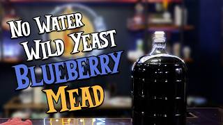 My No Water Wild Yeast Blueberry Mead Experience