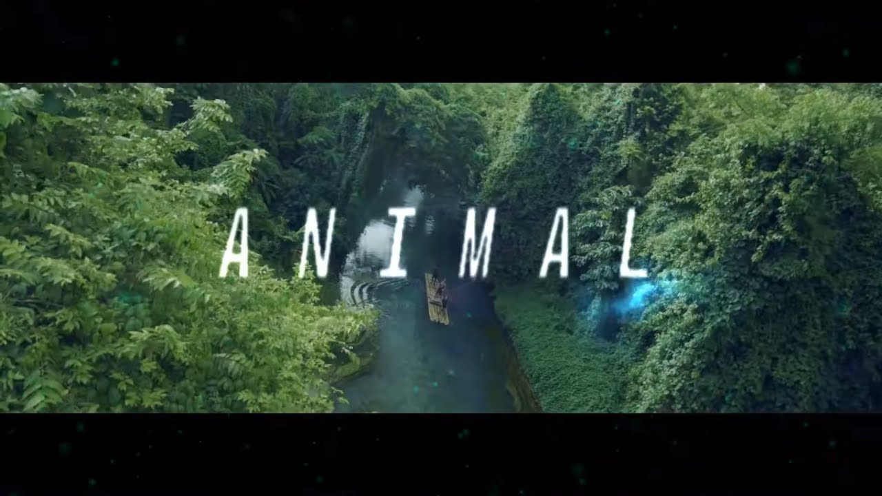 PNL Type Beat | ANIMAL | Guitar Instru Type PNL 2020