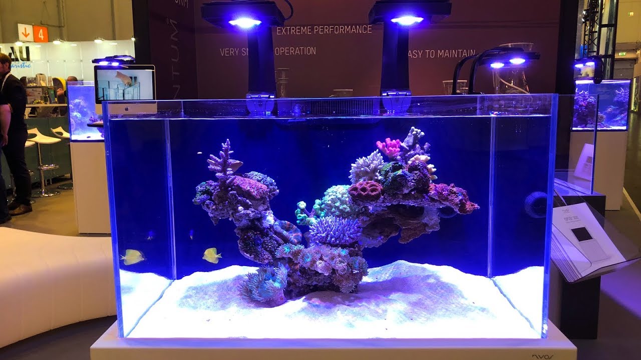 cool new reef gear at interzoo 2018