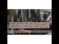 نسب قبيلة علوى من مطير هل الردات