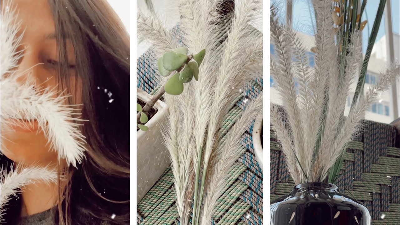 No cost decor for home | DIY