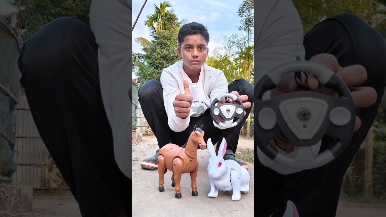 Remote Control Horse And Rc Rabbit Unboxing And Testing  