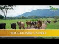Produccion Animal Sostenible en Costa RIca - TvAgro por Juan Gonzalo Angel Restrepo