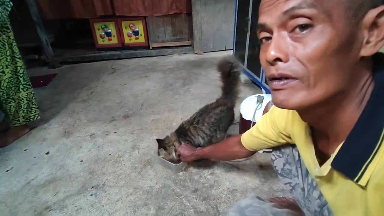 menu dino iki ramban kangkong mburi omah