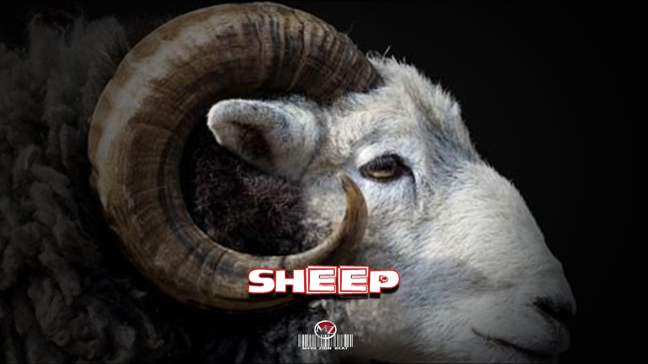 DRILL X INSTRUMENTAL 26' || SHEEP || PROD. BY MEDEZION BEATZ