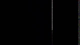 Tnt Kids Bumpersangry Birds Toonsstellapiggytales August 2017-Present