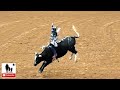 Peewee Bull Riders - 2019 Junior Bull Riding National Finals #NJBRA - Round 2
