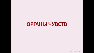 Лекция №2 по гистологии. Органы чувств. Орган зрения - глаз.