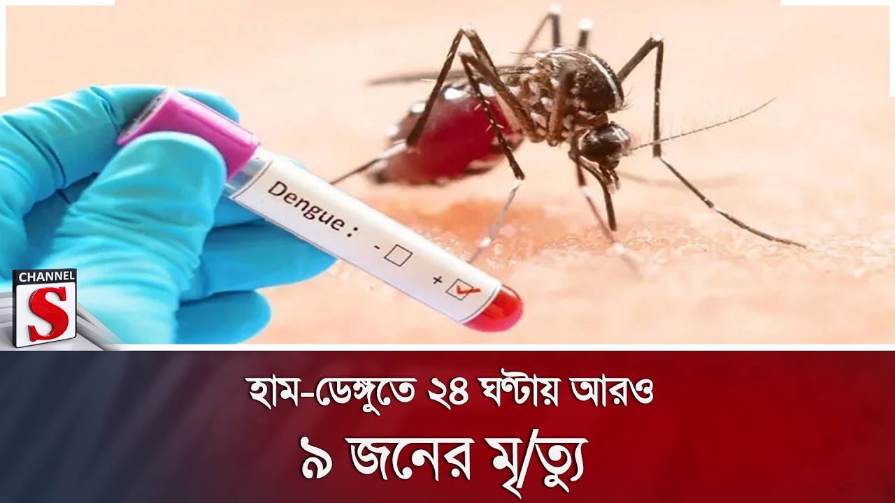 হাম-ডেঙ্গুতে ২৪ ঘণ্টায় আরও ৯ জনের মৃ/ত্যু | Measles | Dengue | Channel S News