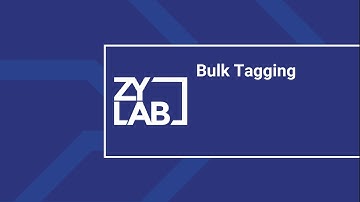 Bulk Tagging