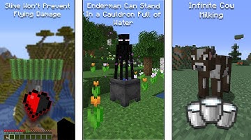 Minecraft Logic That Makes NO SENSE